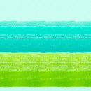 Ombre Wash Fabric
