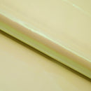 Pastel Iridescent Organza Fabric | Blue Moon Fabrics