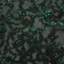 Coral Reef Stretch Mesh Sequin Fabric | Blue Moon Fabrics