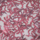 Coral Reef Stretch Mesh Sequin Fabric | Blue Moon Fabrics