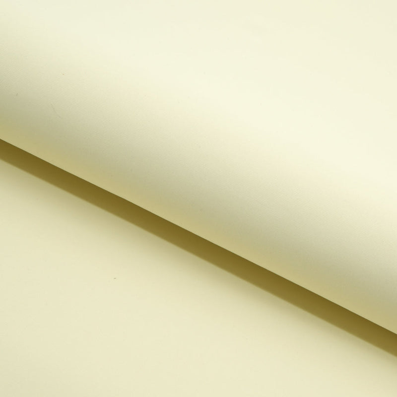 Delite Lightweight Nylon Spandex Fabric | Blue Moon Fabrics