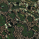 Fame Stretch Mesh Sequin Fabric | Blue Moon Fabrics