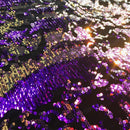 Flashback Stretch Velvet Flip Sequin Fabric | Blue Moon Fabrics