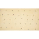 Stellar Rhinestone Stretch Mesh Fabric | Blue Moon Fabrics