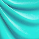 Supreme Shiny Stretch Velvet Fabric | Blue Moon Fabrics